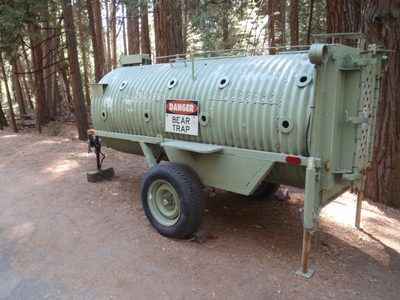 I've never seen one of these! On the hike back to the car...