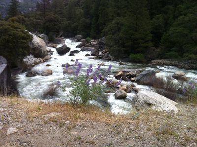 Merced River Sunday morning near Cookie Cliff on Highway 140.