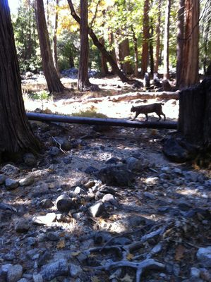 On the way to our climb at Five Open Books (near Lower...