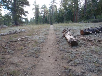 Regaining the park service trail at around 5pm, after...