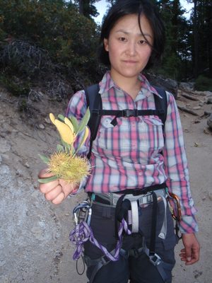 Monica wants to know what this is. Some sort of chestnut?