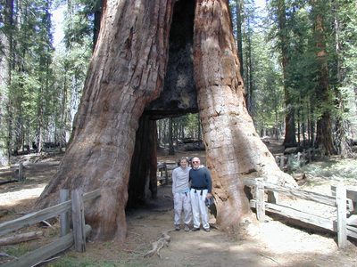 John and Dad walking through a tree.