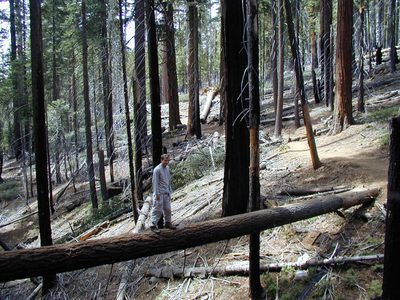 John finds a short cut.