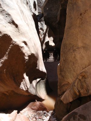 Andy and Joel swimming through Pine Creek Canyon.