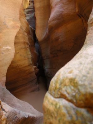 Narrows in Pine Creek Canyon.
