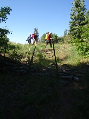 Joel looks for a faint trail on the way to Kolob.
