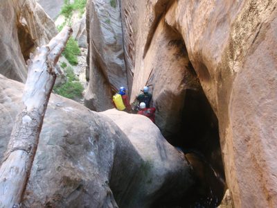 Joel (left), Mike (top) and Andy (bottom) prepare the...