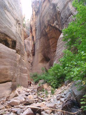 Starting the 2-day hike out from the bottom of Kolob...