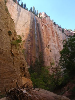 This was the surprise-delight of the trip:  A 500+ foot...