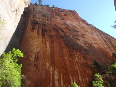 A view of the cliffs above us.