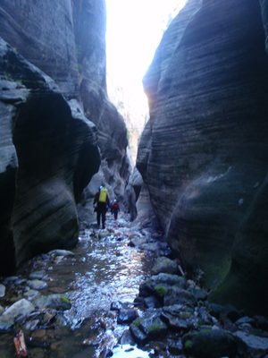 Joel, Andy and Mike walk ahead of me through a section...
