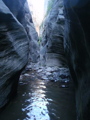 A section of narrows in Kolob Creek.