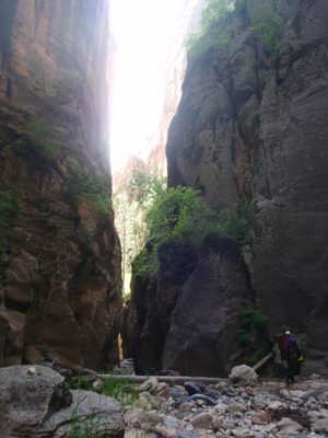 Andy and Joel walk toward another section of shady narrows.