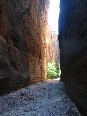 Another section of narrows, in Lower Kolob Creek.  At...