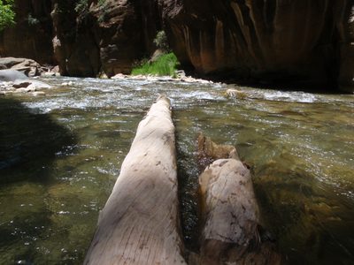 Some logs in the Virgin River.