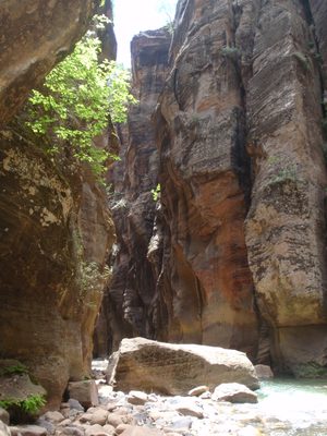 Some sunshine and an inviting rock for sitting..