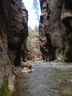 One of my favorite sections of our hike out.