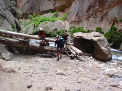 Joel, Mike and Andy climbing over a log jam.