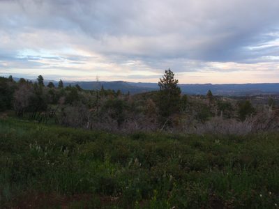 Kolob Terrace (where we had started our hike) is quite...