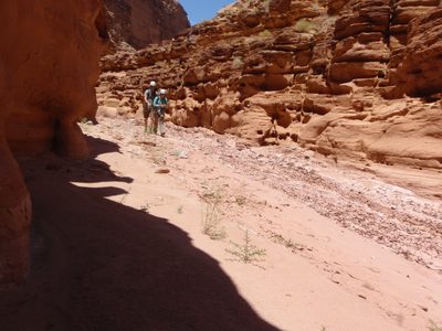Andy and Meredith, hiking in the noontime heat.  (I am...