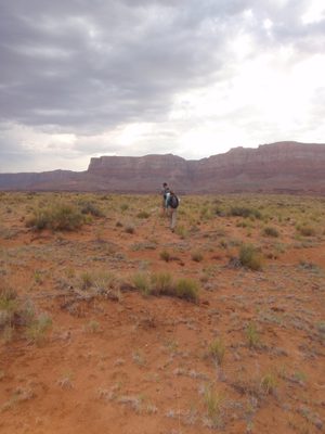 Andy and Meredith lead the way across the plateau.  We...