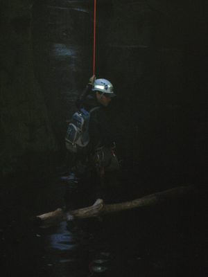 Andy, about to drop into the water.