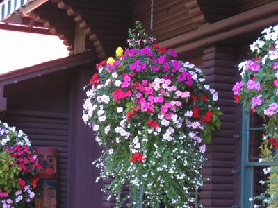 Typical flower basket at the Capilano Suspension Bridge site