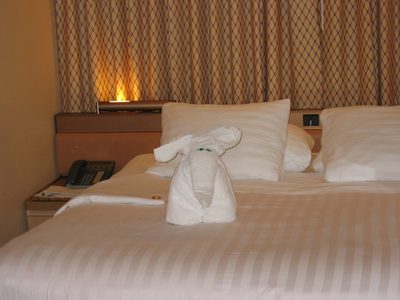 Tonight an Elephant Pillow