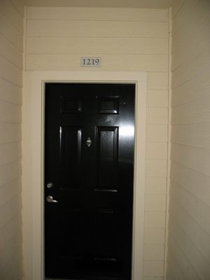 Shiny black door in an alcove