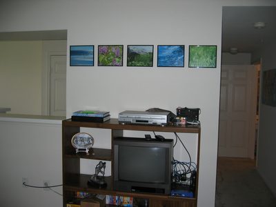 Entertainment center with five of Brooke's photos...