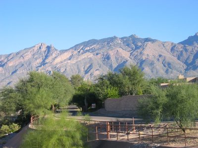 View of Catalina Mountains from their home.  These are...