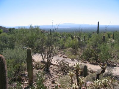 On the way to the Arizona Sonora Desert Museum.  So...