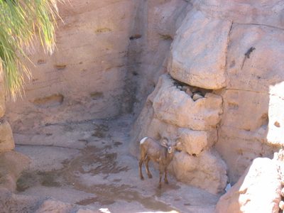 His buddy was down below having a drink