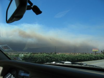 This was quite an extensive fire because of the winds. ...