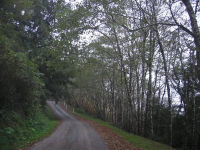 A trip down "Klamath Beach Road" ... the Pacific to the...