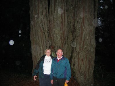 Peter and Meg in front of the "Big Tree"  .... I forget...