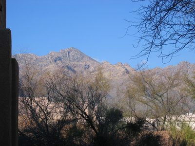 Another view from the "patio"