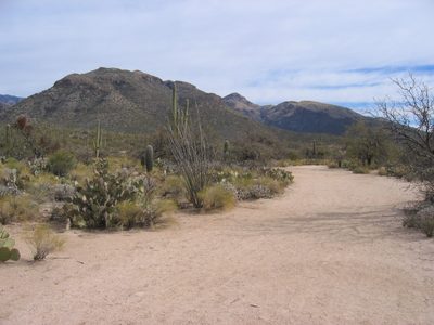 Not exactly the less traveled road