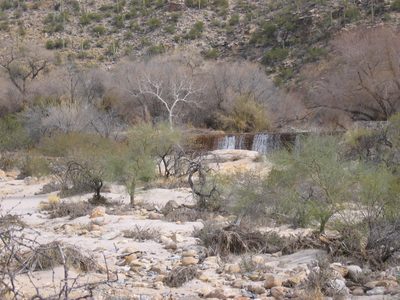 There is water in the desert ... Sabino Canyon dam