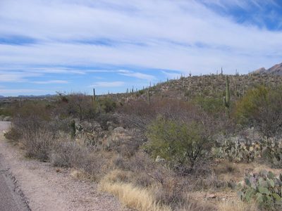Though not all that far from "civilization"