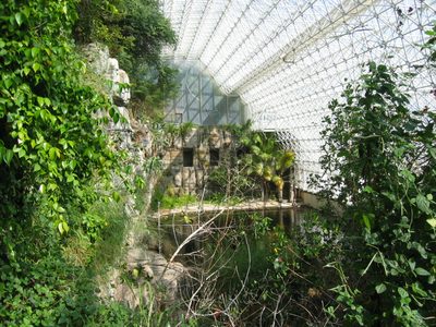 Inside of the rain forest