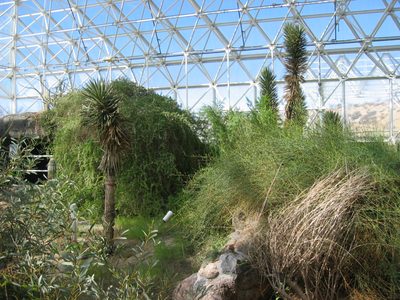 Far end which represented one of the biomes - the coastal desert