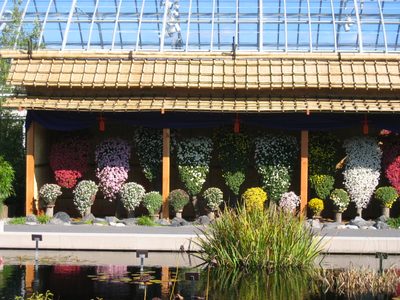 The courtyard has two enormous water lily ponds in the center.