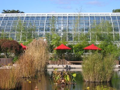 A view across one of the water lily (and other water...