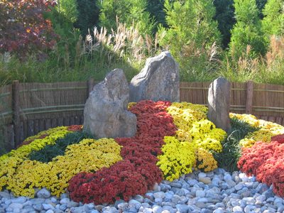 ... and the larger rocks are "scholar" stones that...