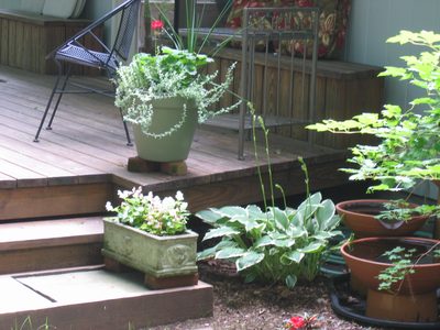 Two of about ten planters.  Low one on steps was gift...