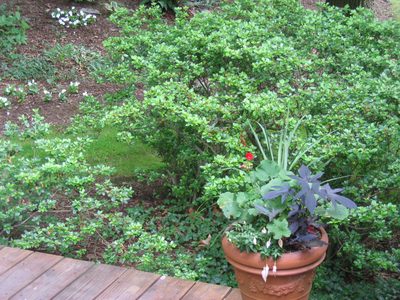 Another deck planter