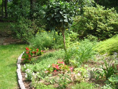 The area known as "the corner", more planted than ever. ...