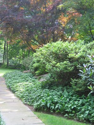 The rest of the front walk, with a little peak at the...