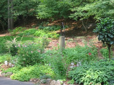 The rest of the 'flag garden' with the toucan.